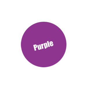 010-Pro Acryl Purple Paint