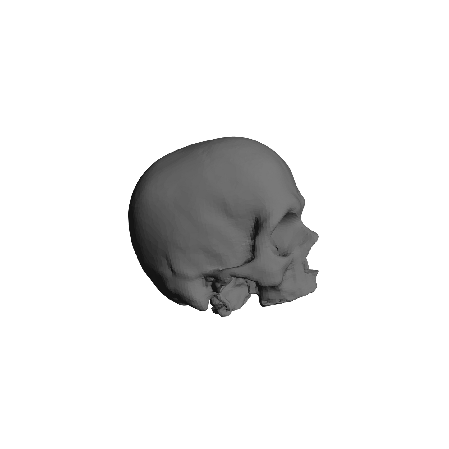 Custom Skulls for JoyToy Battle Brother Marine Action Figures 1:18th Scale Custom Parts