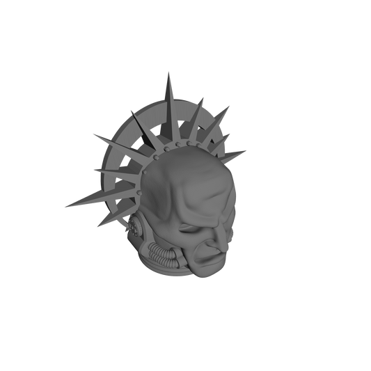 Sanguis Warrior Order Death Mask Helmet Swap V2 compatible with JoyToy 1:18 scale armored action figures custom resin head swap