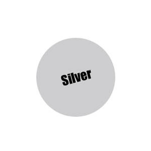 025-Pro Acryl Silver Paint