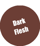 068 - Pro Acryl Dark Flesh Paint