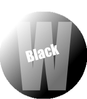 200 - Pro Acryl Black Wash