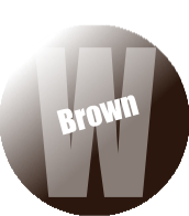 201 - Pro Acryl Brown Wash