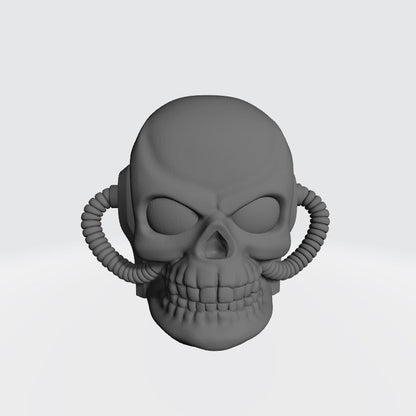 Chaplain Skull Helmet: Helmet Swap is compatible with JoyToy Warhammer 40K Space Marine Action Figures