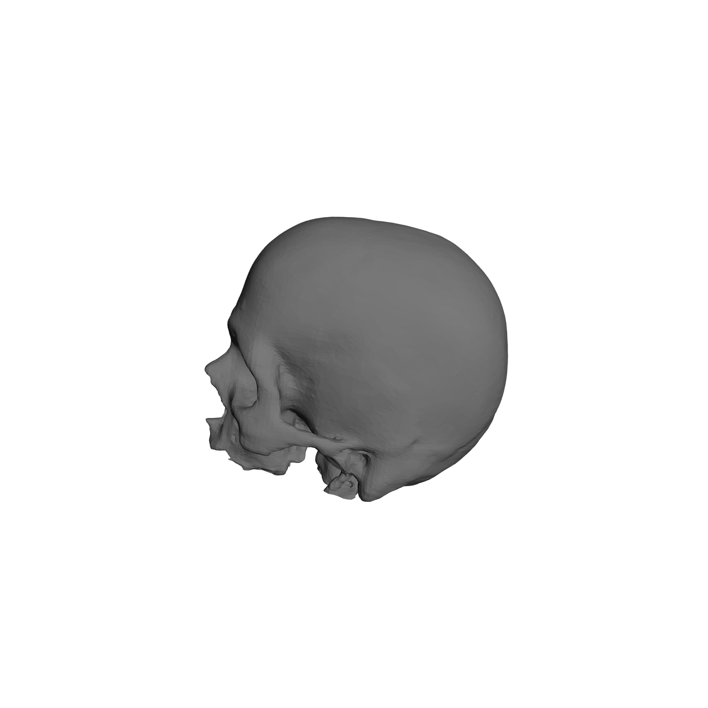 Custom Skulls for JoyToy Battle Brother Marine Action Figures 1:18th Scale Custom Parts
