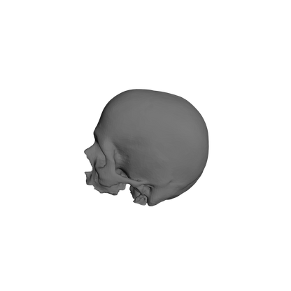 Custom Skulls for JoyToy Battle Brother Marine Action Figures 1:18th Scale Custom Parts