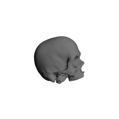 Custom Skulls for JoyToy Battle Brother Marine Action Figures 1:18th Scale Custom Parts