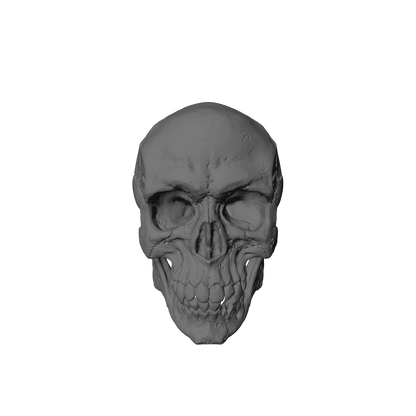 Custom Skulls with Jawbone for JoyToy Battle Brother Marine Action Figures 1:18th Scale Custom Parts