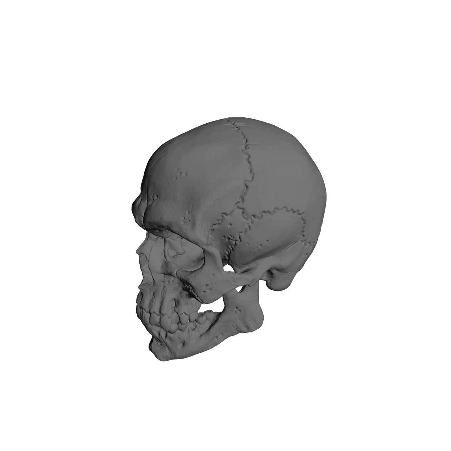 Custom Skulls with Jawbone for JoyToy Battle Brother Marine Action Figures 1:18th Scale Custom Parts