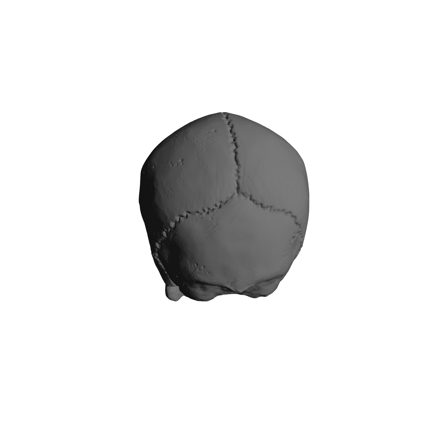 Custom Skulls with Jawbone for JoyToy Battle Brother Marine Action Figures 1:18th Scale Custom Parts