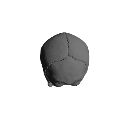 Custom Skulls with Jawbone for JoyToy Battle Brother Marine Action Figures 1:18th Scale Custom Parts