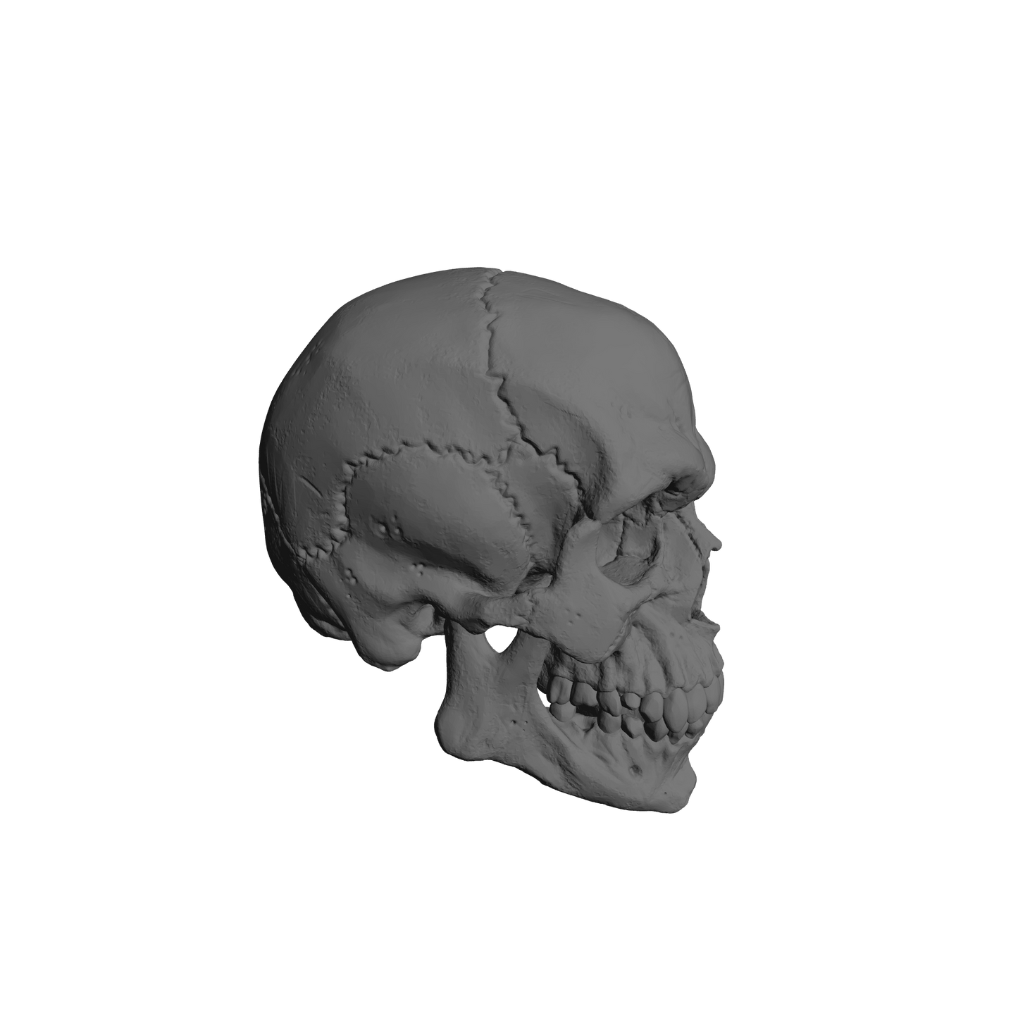 Custom Skulls with Jawbone for JoyToy Battle Brother Marine Action Figures 1:18th Scale Custom Parts