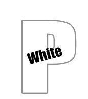 Brush-On White - PRIME Paint