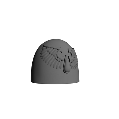 10x Sanguis Warrior Order Type 6 V2-02 shoulder pads compatible with 28mm-32mm scale miniatures